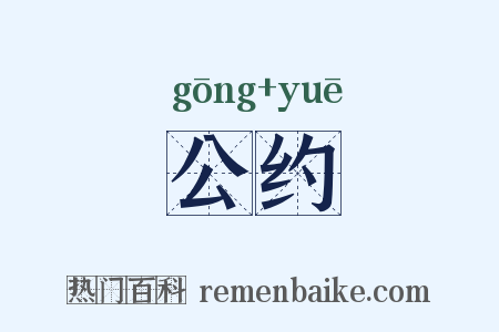 公约是什么意思的图片